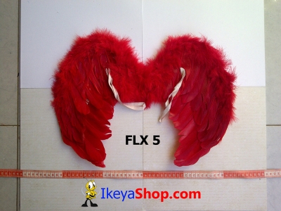 FLX 5  large2